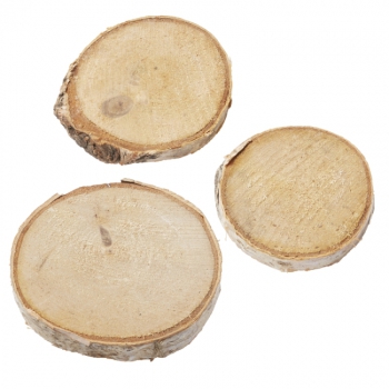 Birkenholzscheiben sortiert bis 4cm
